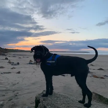 Sands Lane Retreat - Cozy In Hunmanby بيت للعطل